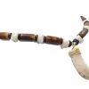 Collar de Colmillo